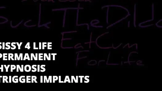 Sissy 4 life permanent trigger 1