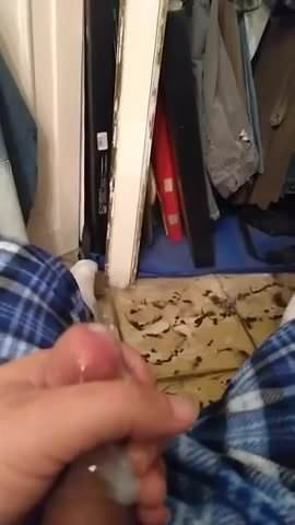 video-1509528395.mp4