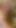 Jaw-dropping moment from "Wifey loves doing yoga nude outdoors"