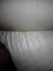 amiga
