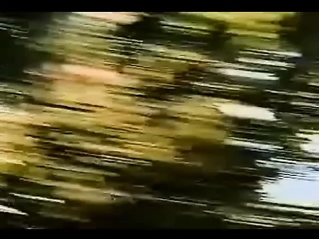 Vintage shemale movie