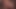 オランダの欲求不満なMILFが濡れた膣を近くで見せる