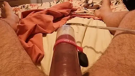 Gloucester'dan şişman yarak