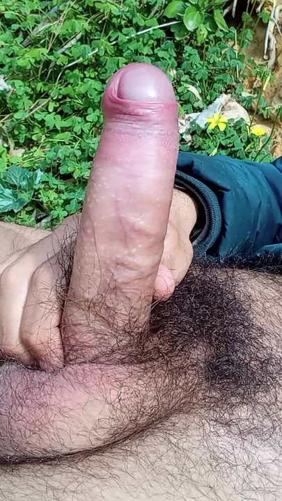 handsome hard cock