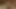 ベッドの上で手コキ
