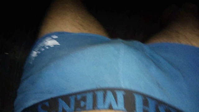 Mi pene
