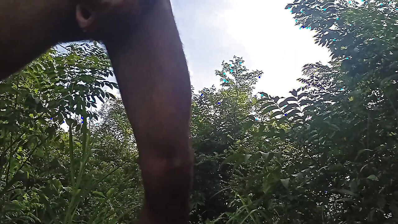 Too Beautiful Body Sync in Nature