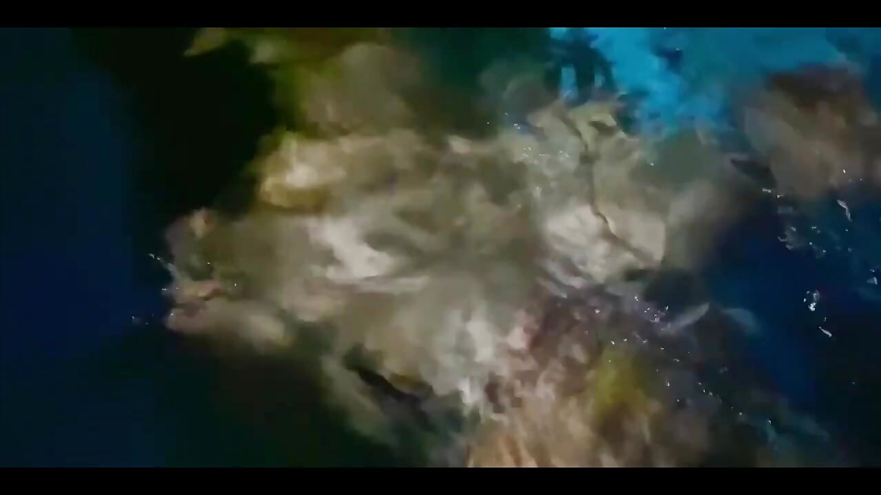 Kolam Renang Kemboja