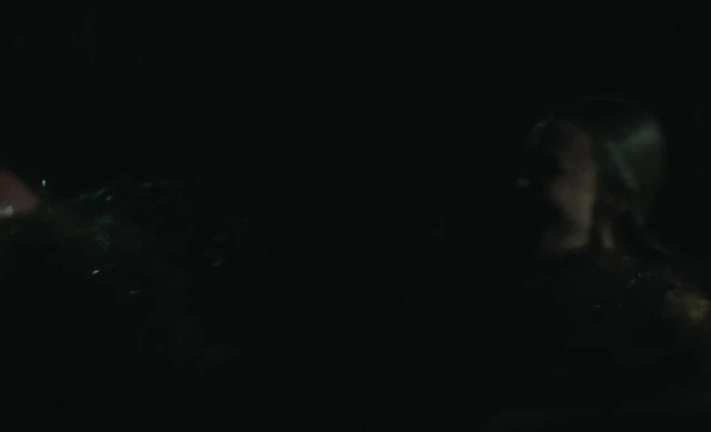 Sarah Gadon - ''Black Bear''