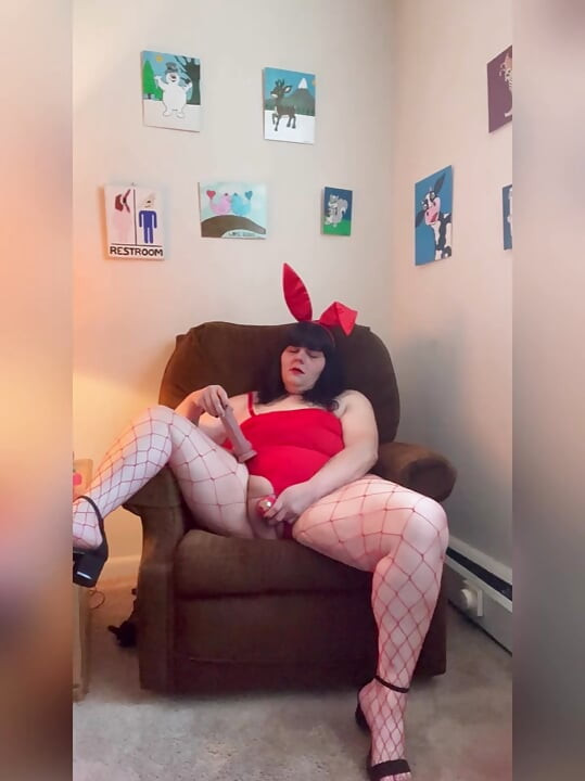 Bunny pleasure