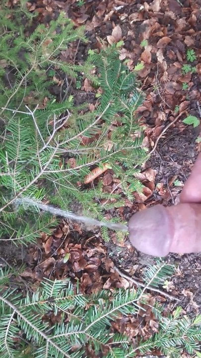 Outdoor piss 2