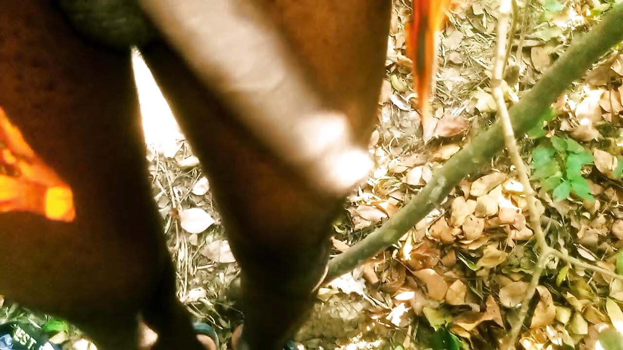 Прекрасне домашнє відео