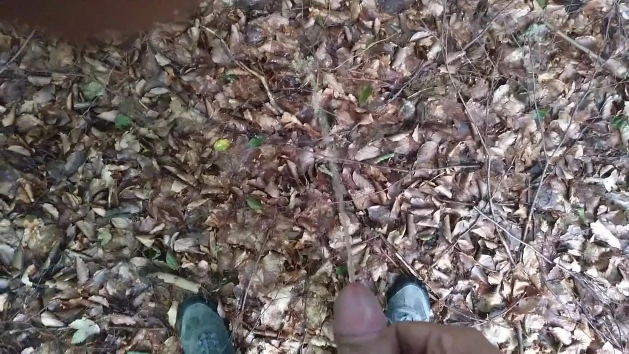 我在树林里撒尿和高潮