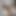 Genç tüylü adam büyük bir penis yapıyor ve boşalıyor