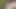 Suck date dident show up so i made this one