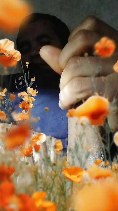 Αυνανισμός στη φύση Deflower