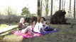 Pratinjau video