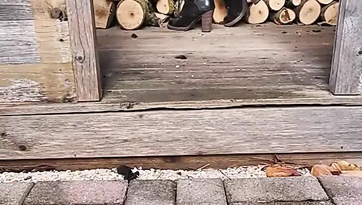 850443674285260800.mp4