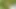 Seducing a married man in the woods
