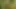 Plan baise a lunettes dans la foret