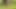 Fairy Orgy in the Meadow: Multi-Hair Hotties Masturbate and More