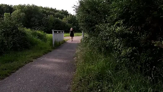 Sexy blondine mit tätowierungen wird im auto und im freien gefickt
