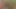 Got fucked by Big Cock
