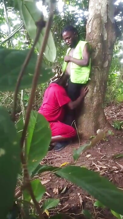 Inside Bush Fucking After Smoking...