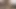 Amatör porno yıldızı Tay Dash pembe file çorapla sikiliyor