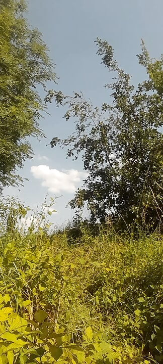Outdoor nudist boy