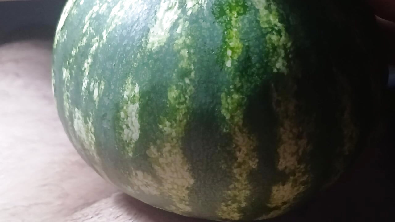 The watermelon is so sweet and juicy my penis liked it!