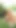 Must-see moment from "Grandpa Mireck seduces and fucks 18yo girl outdoors"