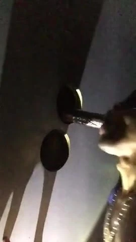 Gloryhole Head