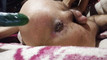 Pregled videozapisa