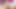 Big cock TS SARA big cum (2018.02.26)