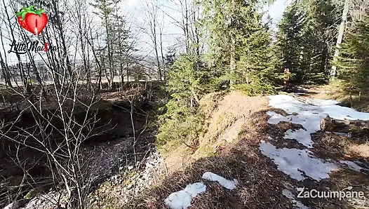 A red fox in the mountains. On the trail, the redhead female dog got some hot stuff straight from a thick cock.