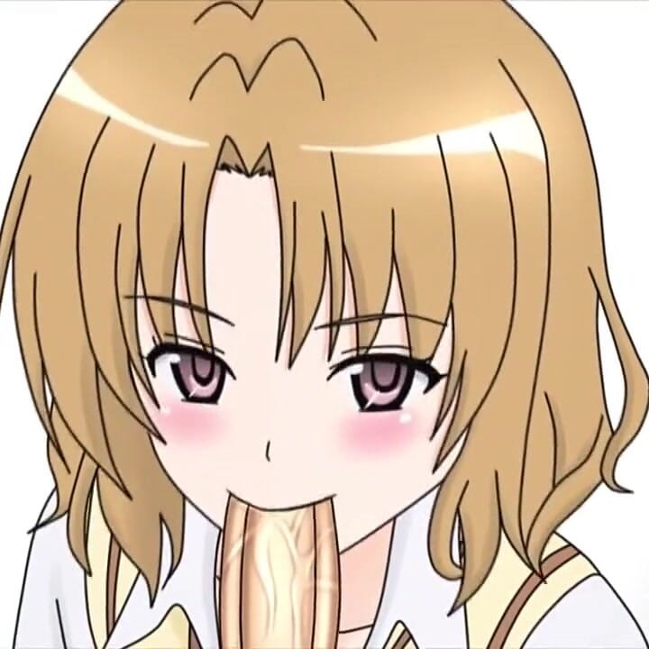 Momioka Risa to-love-ru