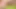 Small Penis Cumming And Pissing