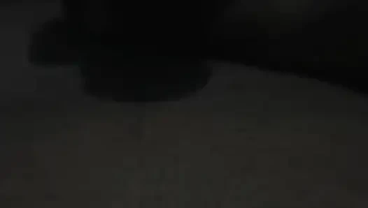 Musterbate Havasında