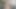 Amerikalı hayaller Sofi Ryan bakış açısı vr eyleminde sikini gerçek gibi sikiyor ve emiyor