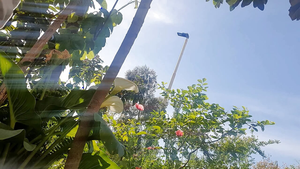 Being completely naked in the garden