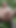Stunning moment from "Al fresco masturbation. Daddy naked outside"