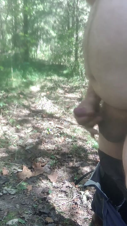 En el bosque