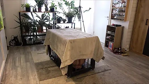 Да, мастер, я твой