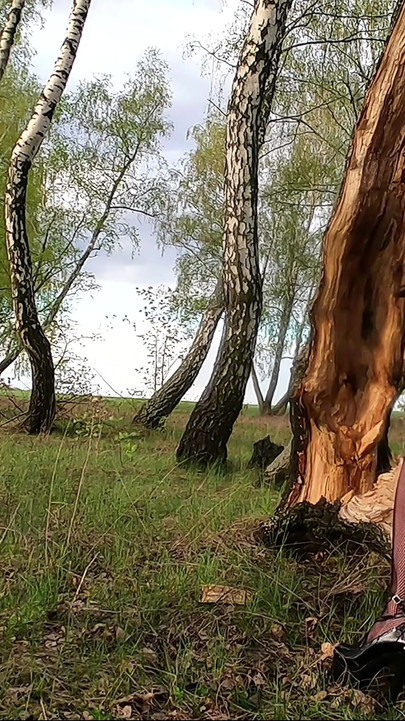 Uzbudljiv trenutak iz "Napaljena Sissy Stacy šeta terenom"
