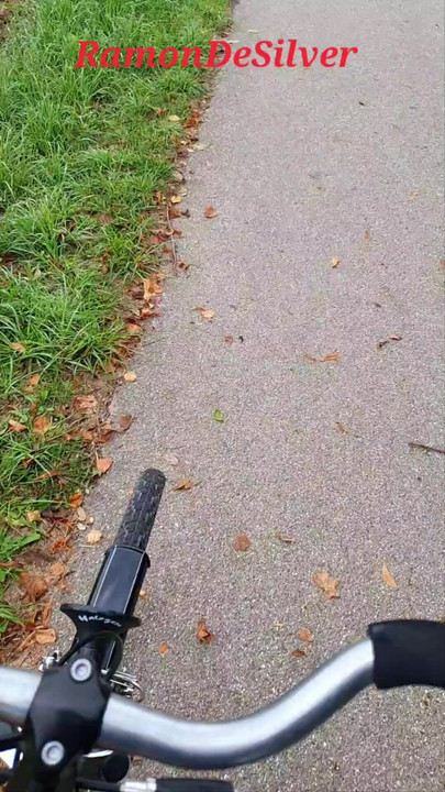 Master Ramon casually pisses off the bike, pedestrians, cars don't bother, awesome