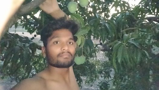 crispy Mango tree Part 1-? Funny Moments for Sexi Talking voice video of him suking one the mango that day