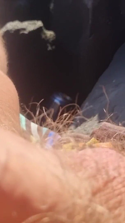 Spectacular moment from "IN PUBLIC | HANDJOB IN PUBLIC AND A COCK LOADED WITH PISS - SHOW COCK TO EVERYONE"