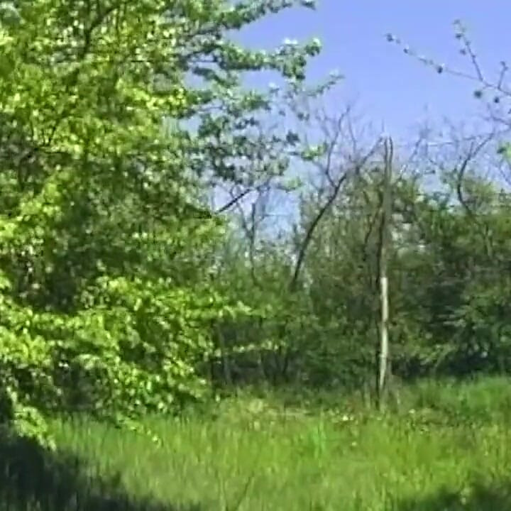 Brunette in Stockings Fucked Hard on Grass