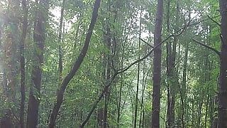 Ännu en promenad i skogen